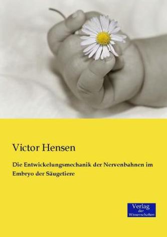 Die Entwickelungsmechanik der Nervenbahnen im Embryo der Säugetiere