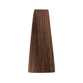 Bionic NATURAL 6/0 Dark Blonde 100ml/Permanentní barvy/Přírodní