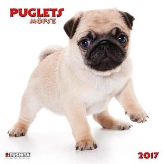 Puglets 2017