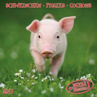 Schweinchen / Piggies / Cochons 2017