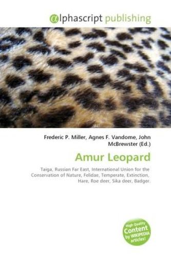 Amur Leopard