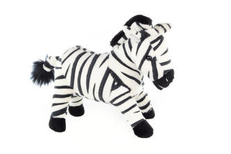 Rip Zebra