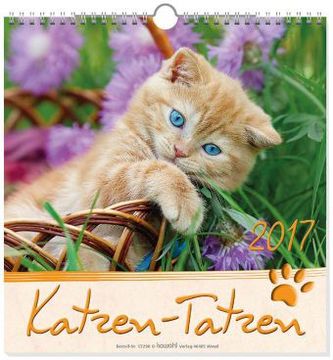Katzen-Tatzen 2017