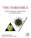 The Norovirus
