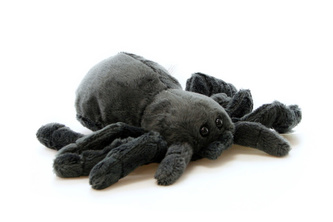 Prasknutá Tarantula