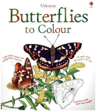 Butterflies to Colour