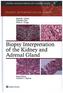 Biopsy Interpretation of the Kidney & Adrenal Gland