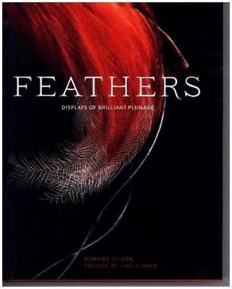 Feathers