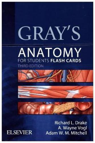 Gray's Anatomy for Students Flash Cards