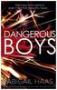 Dangerous Boys