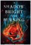Kingdom on Fire - A Shadow Bright and Burning