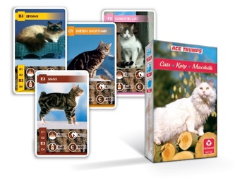 Kvarteto Mačky anglická verzia