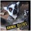Animal Selfies