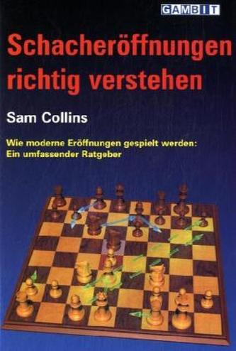 Schacheröffnungen richtig verstehen