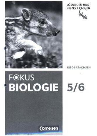 5./6. Schuljahr, Lösungen und Hilfekärtchen