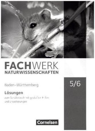 5./6. Schuljahr, Lösungen zum Schülerbuch mit gestuften Hilfen und Erweiterungen