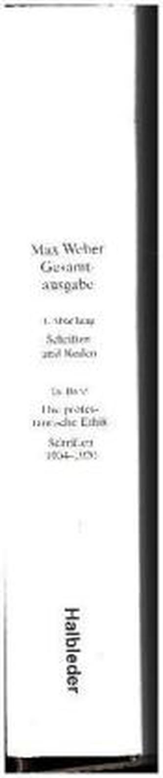Band I/18: Die protestantische Ethik und der Geist des Kapitalismus. Die protestantischen Sekten und der Geist des Kapitalismus