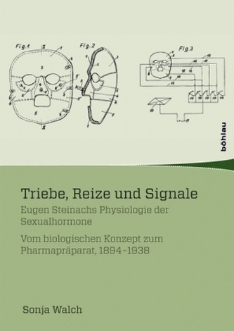 Triebe, Reize und Signale
