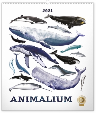 Nástěnný kalendář Animalium Lucie Jenčíková