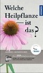 Welche Heilpflanze ist das?