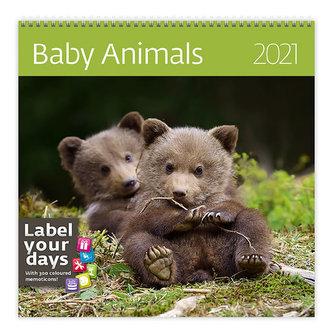Baby Animals - nástěnný LP kalendář 2021