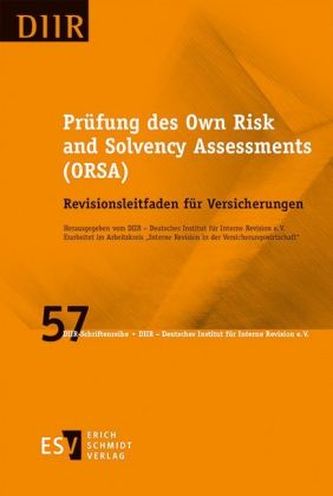 Prüfung des Own Risk and Solvency Assessments (ORSA)