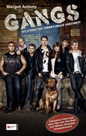 Gangs