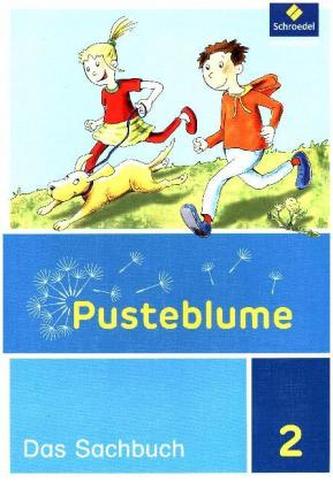 2. Schuljahr, Schülerband