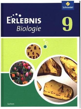 9. Schuljahr, Schülerband