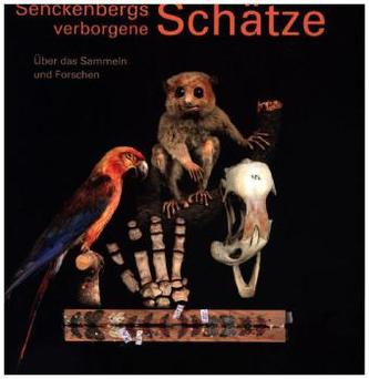 Senckenbergs verborgene Schätze