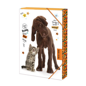 Box na zošity A4 Forever friends