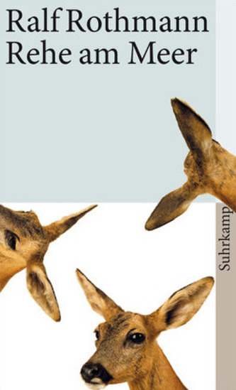 Rehe am Meer