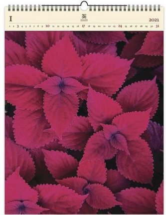 Dřevěný obrazový kalendář 2021 Leaves