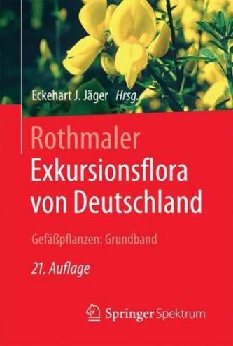 Gefäßpflanzen, Grundband
