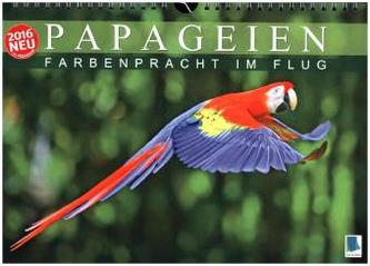 Papageien: Farbenpracht im Flug (Wandkalender 2016 DIN A4 quer)