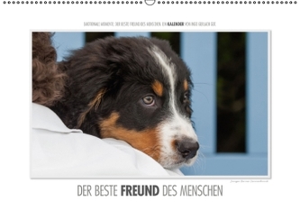 Emotionale Momente: Der beste Freund des Menschen. / CH-Version (Wandkalender 2016 DIN A2 quer)