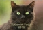 Katzen im Focus 2016 (Tischkalender 2016 DIN A5 quer)