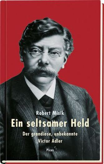 Ein seltsamer Held