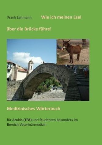 Wie ich meinen Esel über die Brücke führe