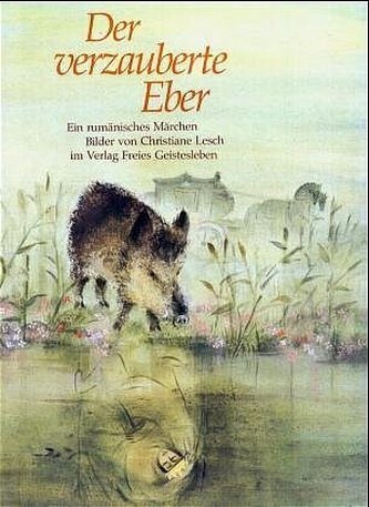 Der verzauberte Eber