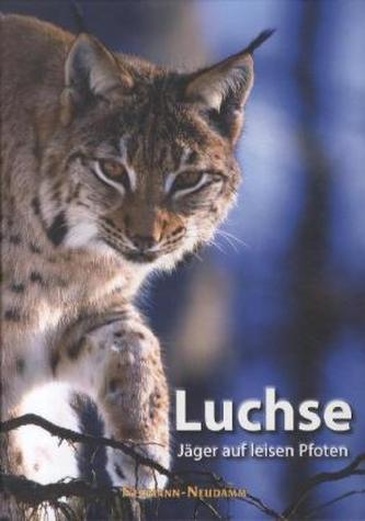 Luchse