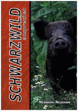 Schwarzwild ansprechen