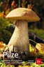 Pilze