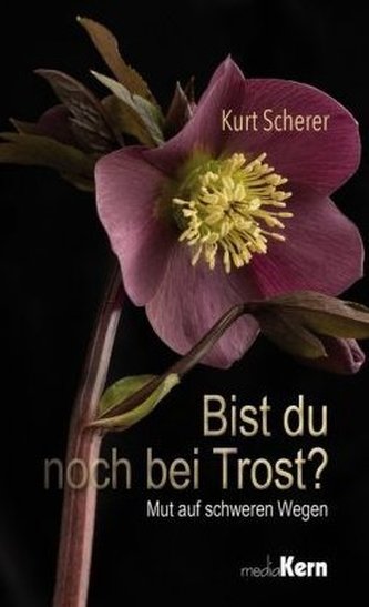 Bist du noch bei Trost?