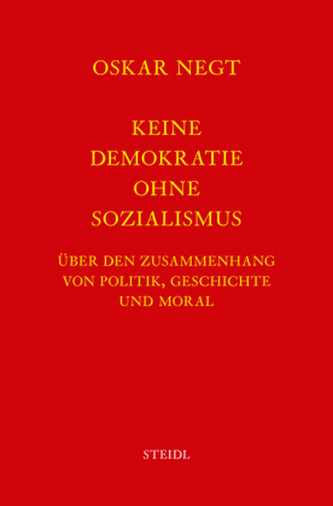 Keine Demokratie ohne Sozialismus