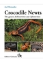 Crocodile Newts
