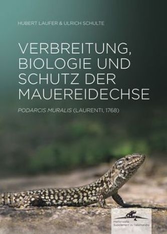 Verbreitung, Biologie und Schutz der Mauereidechse Podarcis muralis (Laurenti;1768), m. DVD