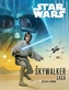 STAR WARS THE SKYWALKER SAGA