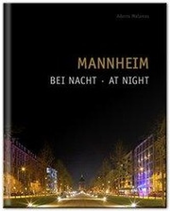 Mannheim bei Nacht. At Night
