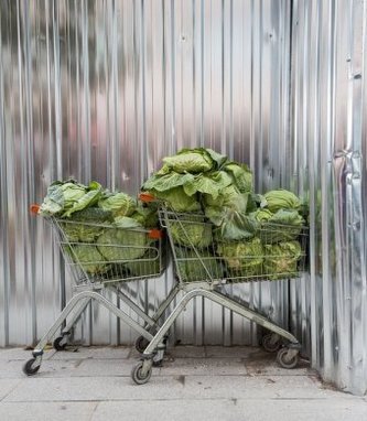 More Cars, Clothes and Cabbages